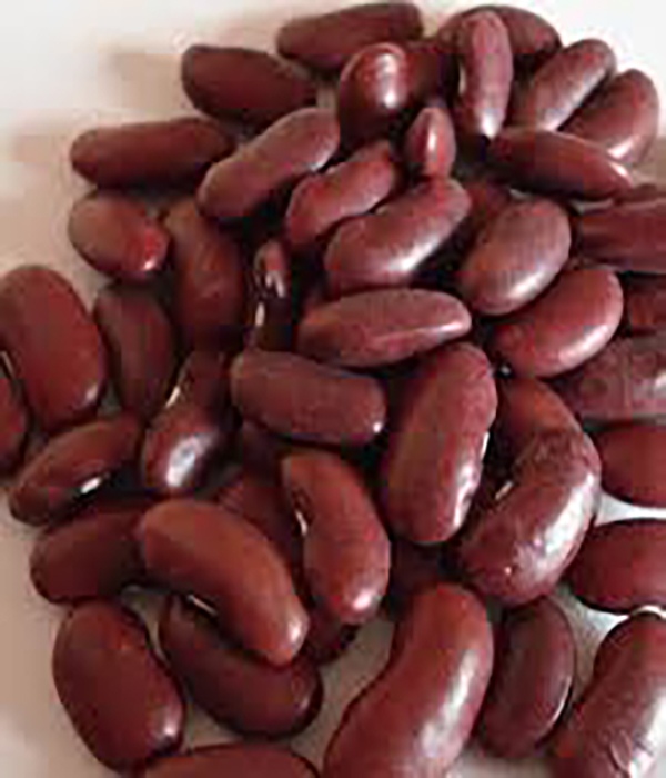 Haricot Rouge (Kg)