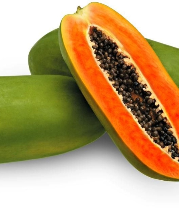 papaye Calina