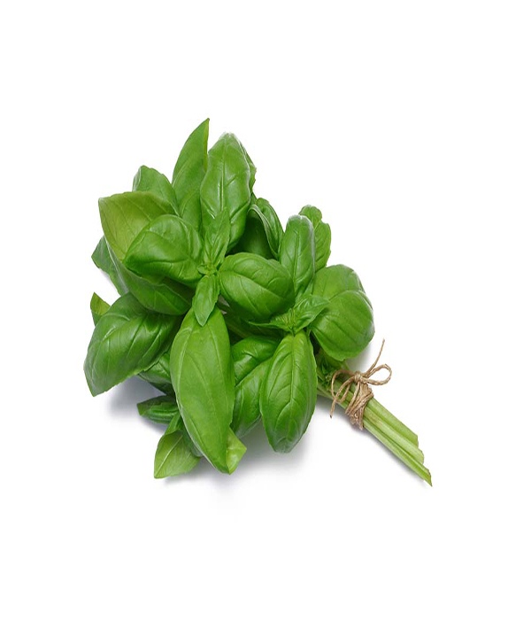 Basilic (500g)