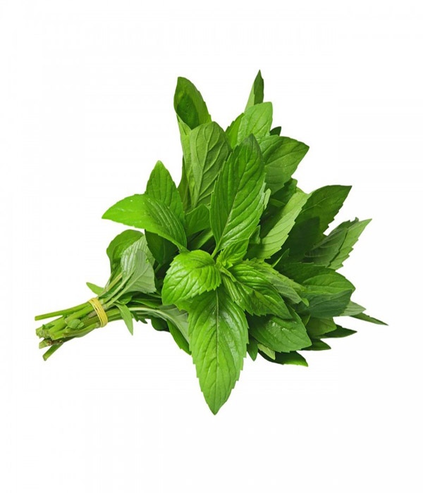 Menthe (Kg)