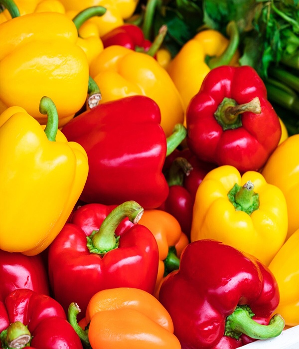 Poivron Rouge jaune ou orange